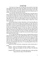 Mô hình tổng công ty theo hướng tập đoàn