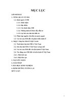 FDI với sự phát triển kinh tế ViệtNam