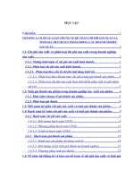 Hoàn thiện công tác kế toán chi phí và tính giá thành sản phẩm tại Công ty Cổ phần Sợi Trà Lý