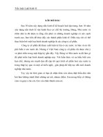 Cổ phần hóa các công ty tại Việt Nam