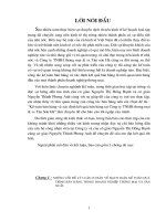Kế toán bán hàng và xác định kết quả bán hàng tại Công ty TNHH thương mại & sx Tân Sơn Hà