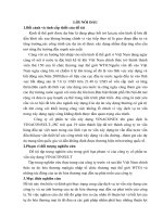 Phân tích thực trạng của doanh nghiệp VINAconsult trước và sau khi Việt Nam gia nhập WTO