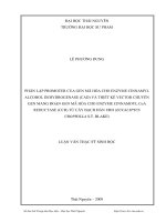 Phân lập Promoter của Gene mã hóa cho enzyme cinamyl  alcohol dehydrogenase