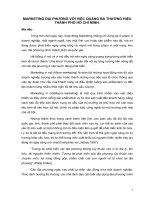 Marketing địa phương với việc quảng bá thương hiệu Thành phố Hồ Chí Minh.pdf