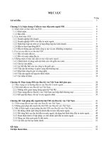 Đầu tư trực tiếp của hoa kỳ vào việt nam – thực trạng và giải pháp .doc