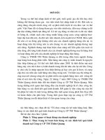 Tổ choc công tác kế toán Hàng hóa- Bán hàng và xác định kết quả kinh doanh tại Cty CP TM Thiên Quang