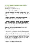 Kỹ thuật nuôi gà và đẻ trứng thương phẩm