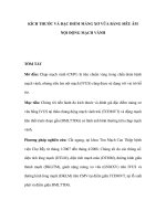 Kích thước và đặc điểm măng xơ vữa bằng siêu âm nội động mạch vành