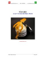 Luận văn bao bì thực phẩm