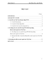 Ảnh hưởng của cam kết trong WTO đến đầu tư nước ngoài của Việt Nam và giải pháp