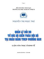 Quản lý rủi ro từ góc độ kiểm toán nội bộ tại Ngân Hàng TMCP Phương Nam