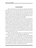 Một số biện pháp nhằm mở rộng thị trường tiêu thụ sản phẩm ở Xí nghiệp cơ khí Trúc Lâm