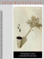 Corporate Values and Culture 