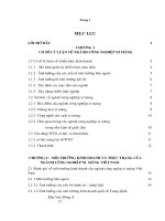 Những giải pháp phát triển ngành công nghiệp xi măng Việt Nam.pdf