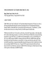 TINH CHẾ PROTEIN TI TỔ HỢP GNRH -TBK Coli