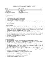  Trưởng kênh Đại Lý