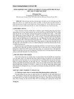 Tổng hợp bột màu COBAN ALUMINAT (CoAl2O4) kích thích hạt siêu mịn ở nhiệt độ thấp