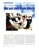 Hệ thống ngân hàng Việt Nam - Một góc nhìn từ vốn điều lệ