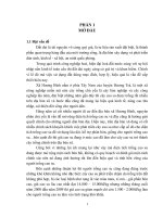  Đánh giá đất phục vụ cho việc phát triển cây cao su trên địa bàn xã Hương Bình – huyện Hương Trà – tỉnh Thừa Thiên Huế