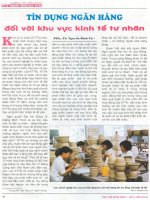 Tín dụng ngân hàng đối với khu vực kinh tế tư nhân .pdf