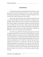 Giải pháp hoàn thiện công tác marketing của công ty cổ phần ô tô TMT