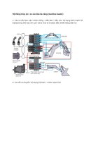 Hệ thống thủy lực -xe xúc đào đa năng