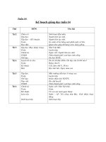 Tài liệu Giáo án môn Tiếng Việt tuần  14