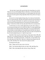 Phân tích và đánh giá hoạt động tiêu thụ của công ty máy tính đồng tâm