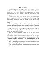 Hoàn thiện kế toán chi phí sản xuất và tính giá thành sản phẩm tại Công ty Cổ phần Nước và Môi trường Việt Nam