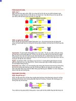 Tổng quan về adsl