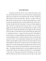 Một số giải pháp nhằm nâng cao hiệu quả hoạt động, chất lượng của đại lý bảo hiểm nhân thọ.doc