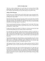 Nuôi con khoa học 