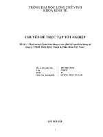Hạch toán kế toán bán hàng và xác định kết quả bán hàng tại Cty TNHH Thiết Bị Kỹ Thuật & Phần Mềm VN