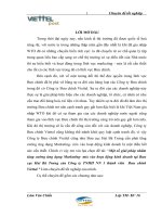Một số giải pháp nhằm tăng cường ứng dụng Marketing- mix vào hoạt động kinh doanh tại Bưu cục Hai Bà Trưng của Công ty TNHH NN 1 thành viên Bưu chính Viettel