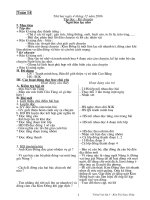 Giáo án Tiếng việt - Lớp 3 - Tuần 14