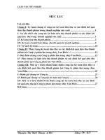 Hoàn thiện công tác kế toán tiêu thụ và xác định kết quả TTTP tại Cty Phân lân nung chảy Văn Điển