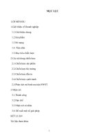 Chiến lược kinh doanh sản phẩm Trà thảo mộc Dr Thanh