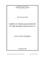 Nghiên cứu tính đa dạng di truyền  của một số giống Ngô