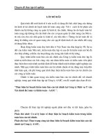 Thực hiện kế hoạch kiểm toán báo cáo tài chính tại Công ty Dịch vụ Tư vấn Tài chính Kế toán và Kiểm toán - AASC