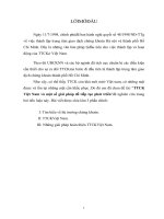 Thị trường chứng khoán Việt Nam và một số giải pháp để tiếp tục phát triển.doc