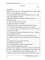 Hoàn thiện kế toán doanh thu, chi phí và xác định kết quả kinh doanh tại Chi nhánh chế tác vàng - Tổng công ty vàng AGRIBANK Việt Nam