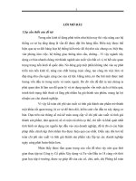 Hoàn thiện kế toán chi phí sản xuất và tính giá thành sản phẩm tại Công ty Cổ phần Đạt Phương