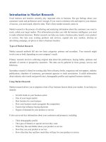 Introduction to Market Research