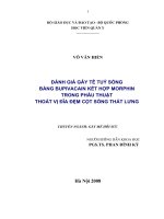 đánh giá gây tê tuỷ sống bằng bupivacain kết hợp morphin trong phẫu thuật thoát vị đĩa đệm cột sống thắt lưng
