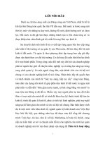 Phân tích hoạt động sản xuất kinh doanh của công ty dịch vụ Hàng Không sân bay Nội Bài