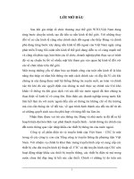 Phương hướng và giải pháp nhằm mở rộng thị trường nhập khẩu của công ty cổ phẩn điện tử và truyền hình cáp Việt Nam CEC