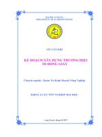 Kế hoạch xây dựng thương hiệu ổi ruột hồng – Hồng Giấy