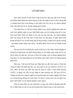 Khả năng cạnh tranh trong tiêu thụ sản phẩm của công ty khoá Minh Khai ( Hà Nội )