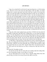 Đẩy mạnh tiêu thụ hàng hoá tại Công ty thương mại tổng hợp tỉnh Nam Định