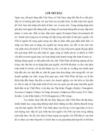 Tình hình thu hút nguồn vốn FDI tại tỉnh Vĩnh Phúc_ Thực trạng và giải pháp .doc